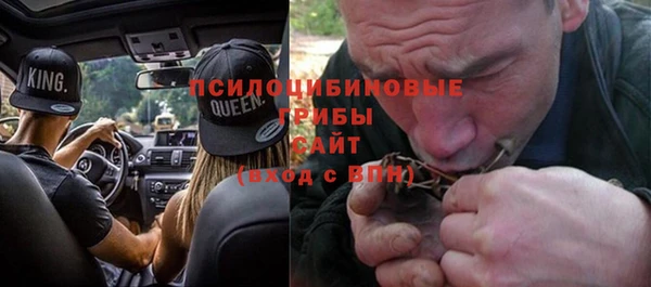 а пвп мука Абаза